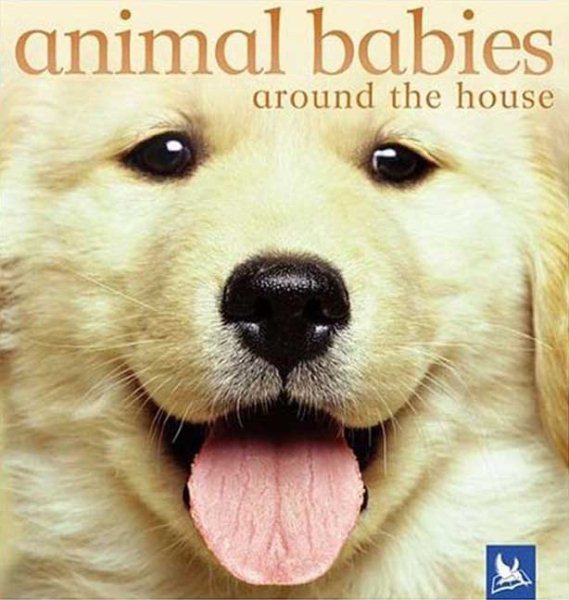 Animal Babies Around the House cover