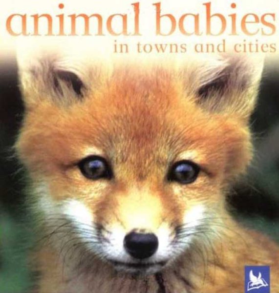Animal Babies in Towns and Cities cover