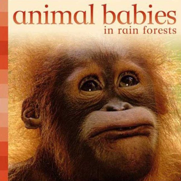 Animal Babies in Rain Forests cover