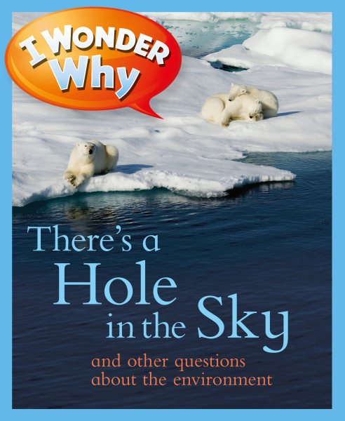 I Wonder Why There's a Hole in the Sky cover