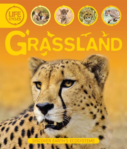 Life Cycles: Grassland cover