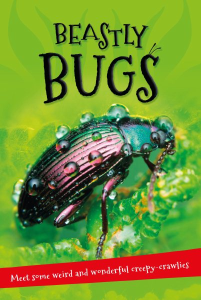 It's All About . . . Beastly Bugs: Everything you want to know about minibeasts in one amazing book cover