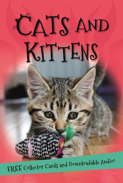 It's All About... Cats and Kittens cover