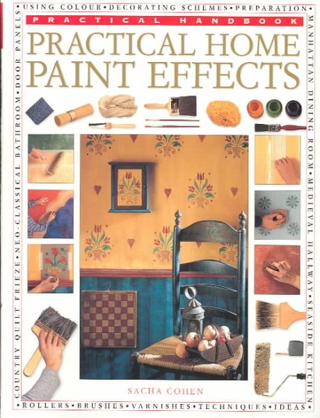 Practical Home Paint Effects (Practical Handbook)