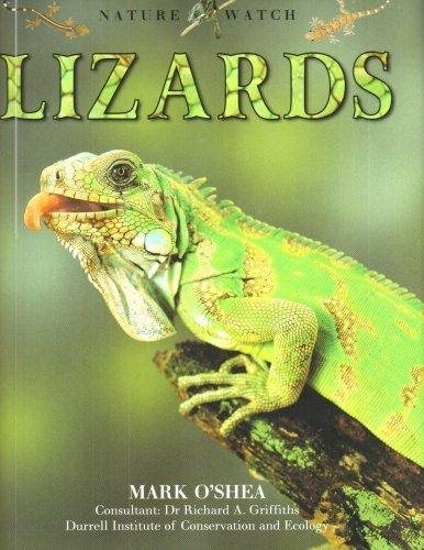 Nature Watch - Lizards cover