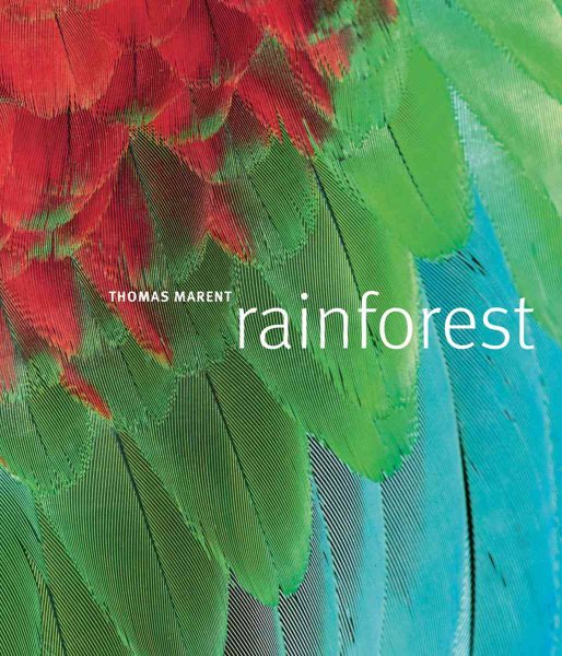 Rainforest cover