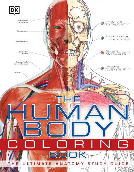 The Human Body Coloring Book: The Ultimate Anatomy Study Guide cover
