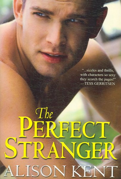The Perfect Stranger cover