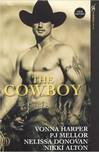 The Cowboy: Wild Ride / Cowboy in Paradise / Saddle Sore / Rodeo Man (Aphrodisia) cover