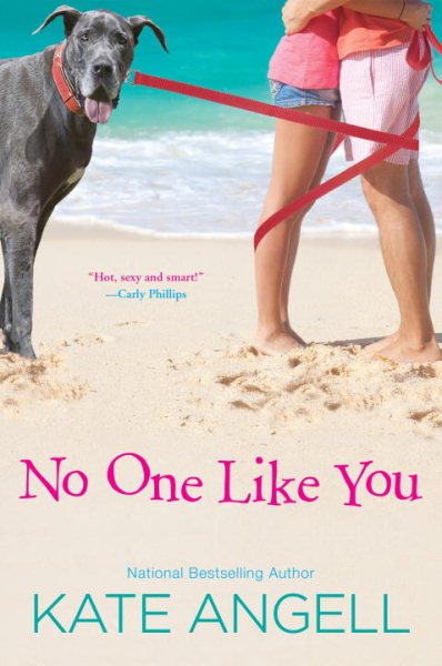 No One Like You (Barefoot William Beach)
