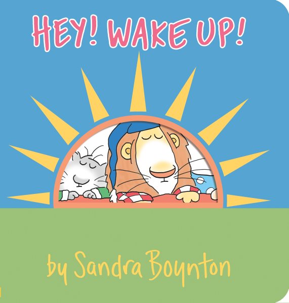 Hey! Wake Up! (Boynton on Board) cover