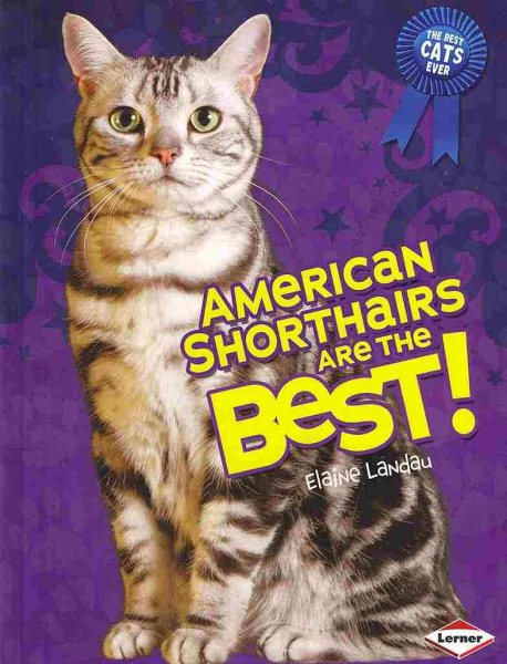 American Shorthairs Are the Best! (The Best Cats Ever) cover