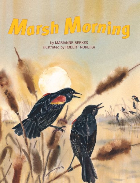 Marsh Morning cover