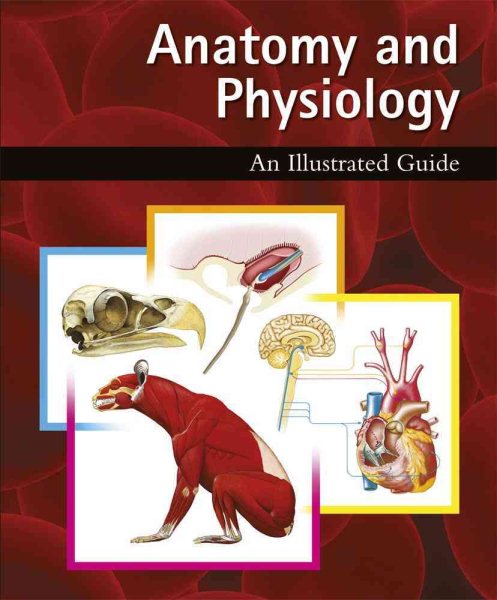 Anatomy and Physiology: An Illustrated Guide cover