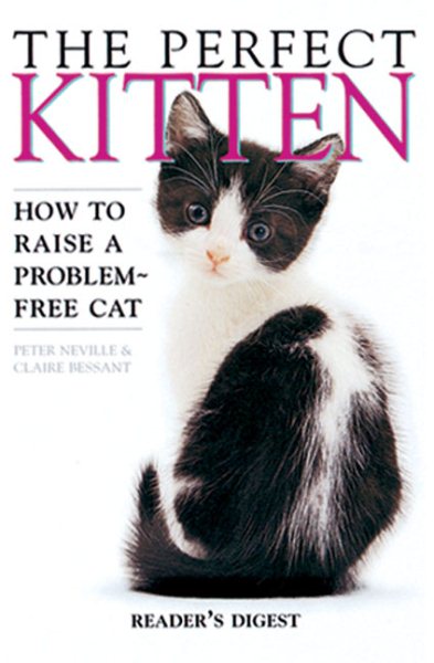 The Perfect Kitten cover