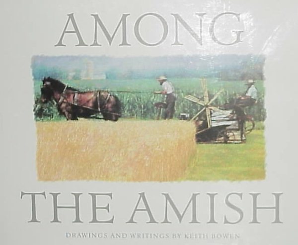 Among the Amish cover