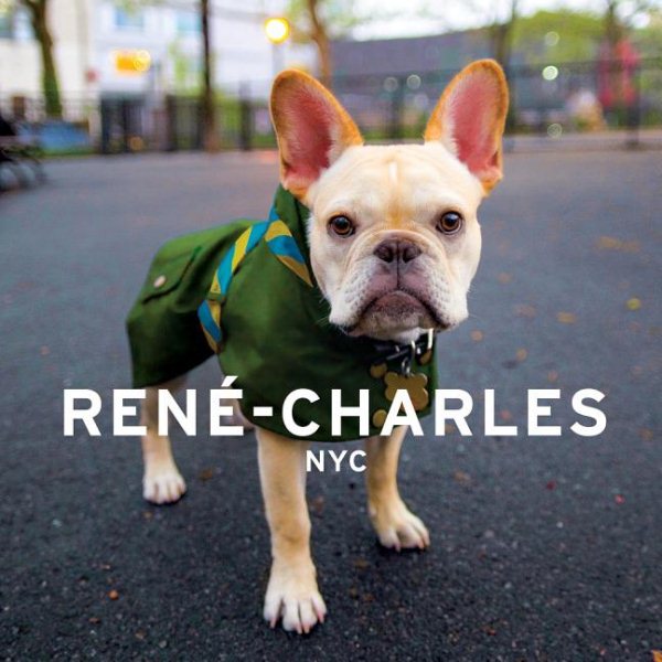 Rene-Charles: NYC: Little Bulldog in the Big City cover