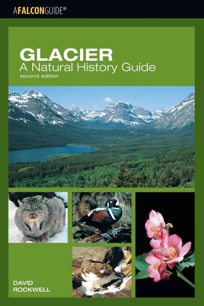 Glacier: A Natural History Guide, 2nd (Falcon Guide) cover