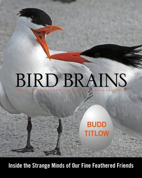 Bird Brains: Inside The Strange Minds Of Our Fine Feathered Friends cover