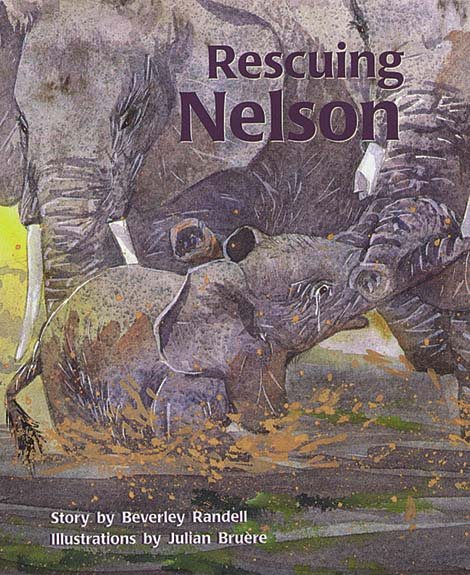 Rigby PM Collection: Individual Student Edition Turquoise (Levels 17-18) Rescuing Nelson cover