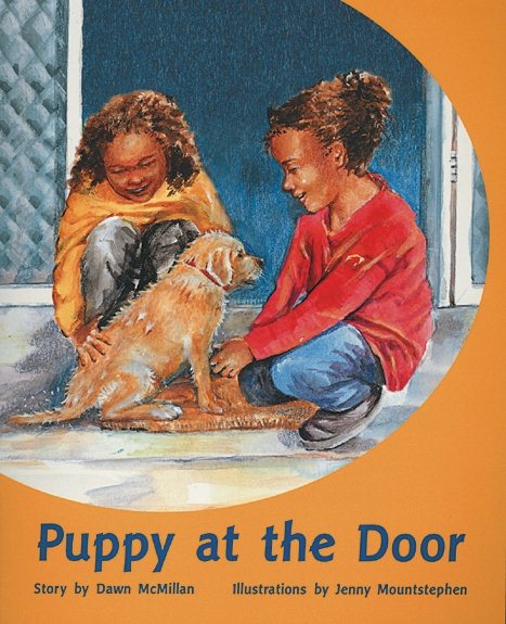 Puppy at the Door: Individual Student Edition Turquoise (Levels 17-18) (Rigby PM Plus) cover