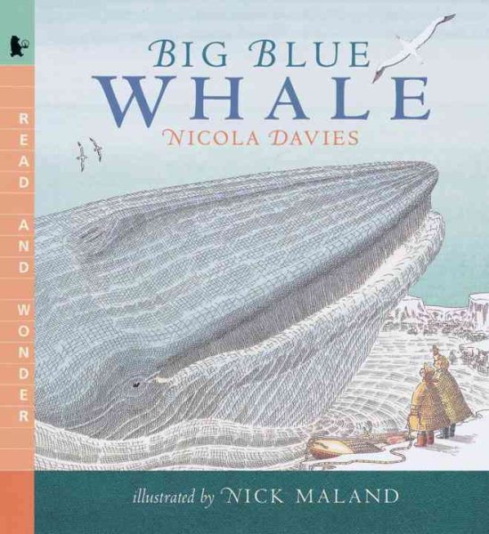 Big Blue Whale: Read and Wonder cover