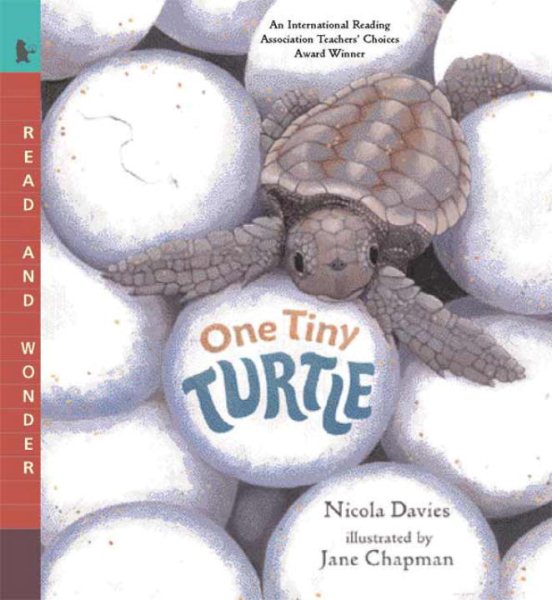 One Tiny Turtle: Read and Wonder cover