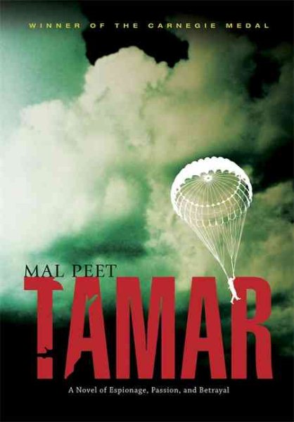 Tamar: A Novel of Espionage, Passion, and Betrayal cover