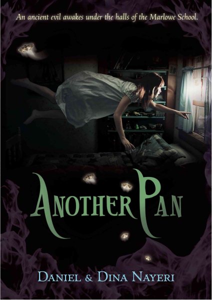 Another Pan cover
