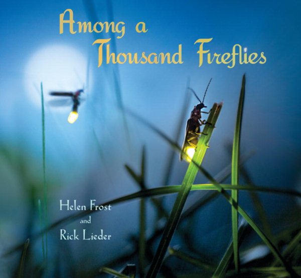 Among a Thousand Fireflies cover