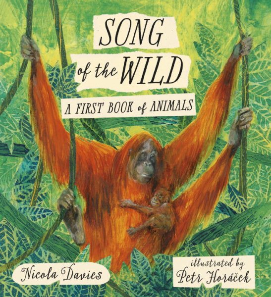 Song of the Wild: A First Book of Animals cover