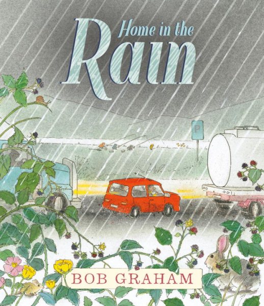 Home in the Rain cover