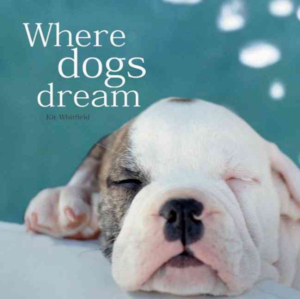 Where Dogs Dream cover