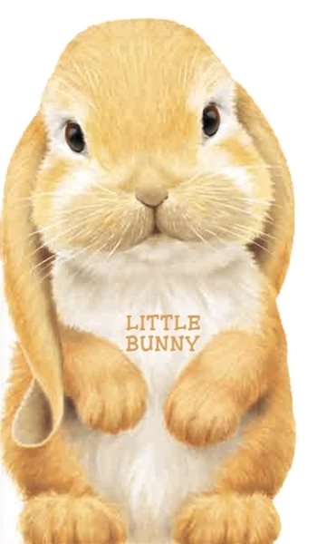 Little Bunny (Look at Me Books) cover