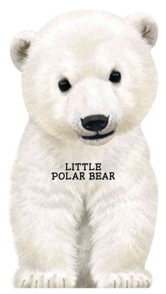 Little Polar Bear (Look at Me Books)