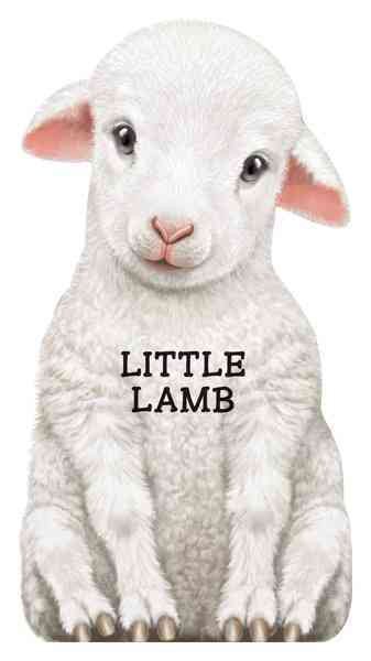 Little Lamb (Look at Me Books) cover