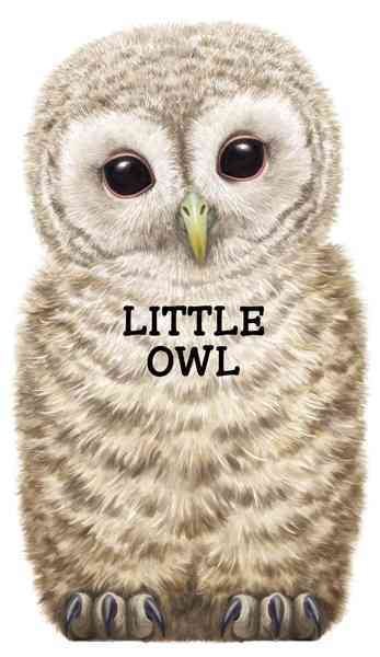 Little Owl (Look At Me Books) cover