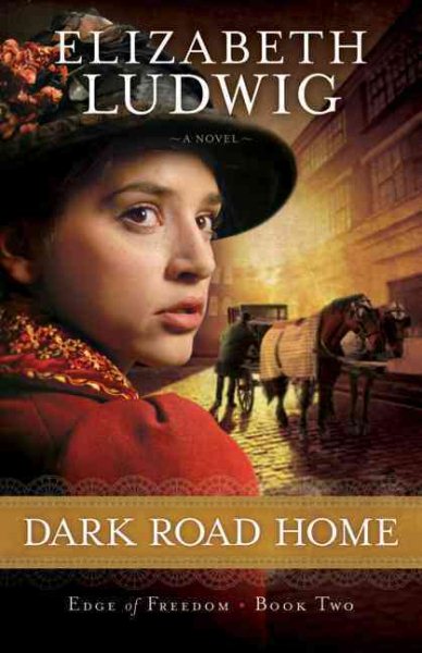 Dark Road Home (Edge of Freedom) (Volume 2) cover