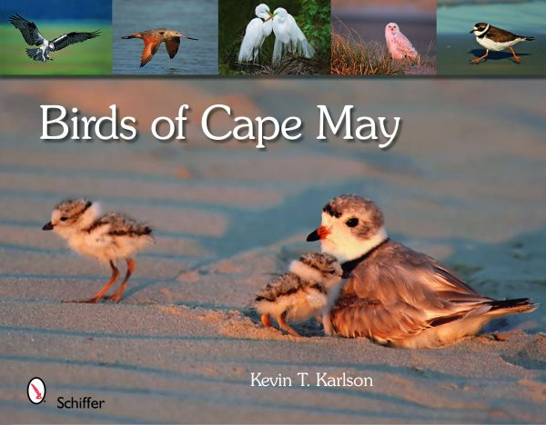 Birds of Cape May, New Jersey cover