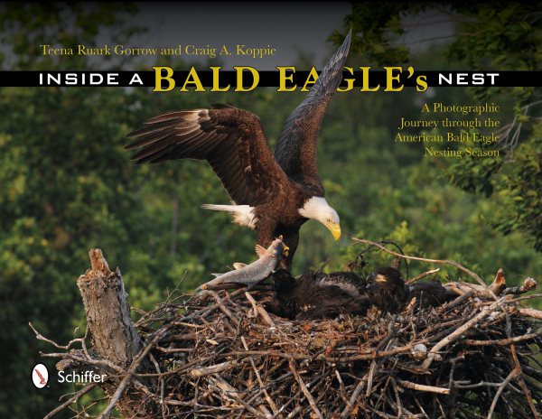 Inside a Bald Eagle's Nest: A Photographic Journey Through the American Bald Eagle Nesting Season cover