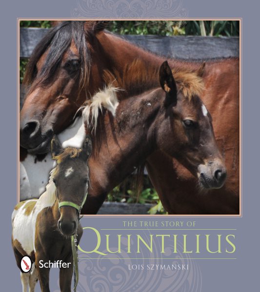 The True Story of Quintilius cover