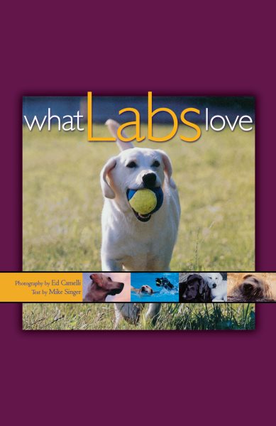 What Labs Love (Pets) cover