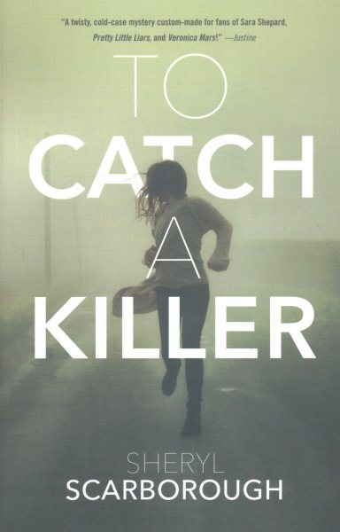 To Catch a Killer: A Novel (Erin Blake, 1) cover