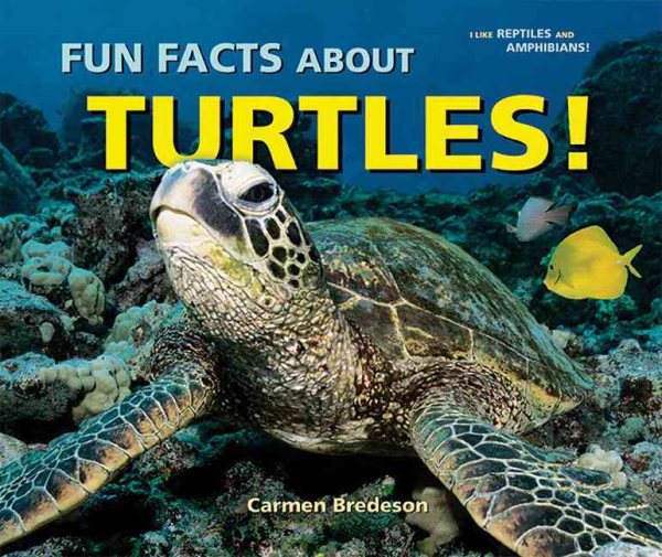 Fun Facts About Turtles! (I Like Reptiles and Amphibians!) cover