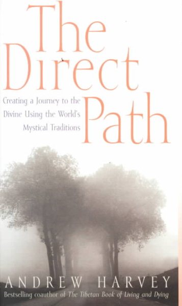 The Direct Path: Creating a Journey to the Divine Using the World's Mystical Traditions cover