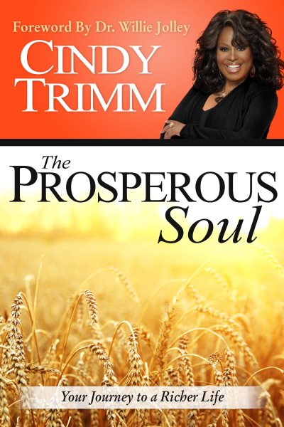 The Prosperous Soul: Your Journey to a Richer Life cover
