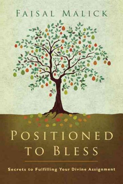 Positioned to Bless: Secrets to Fulfilling Your Divine Assignment cover
