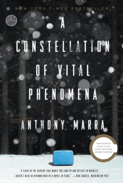 A Constellation of Vital Phenomena: A Novel cover