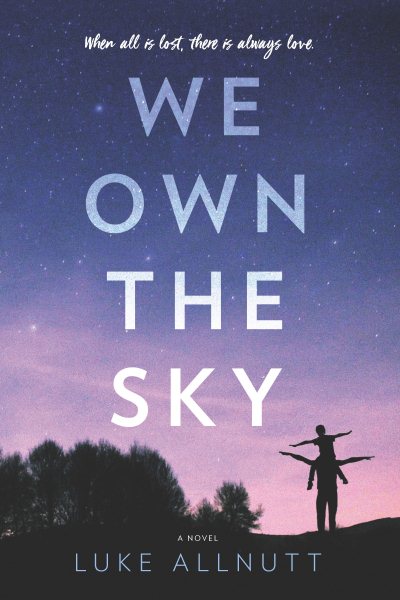We Own the Sky cover