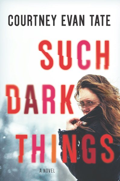 Such Dark Things: A Novel of Psychological Suspense cover